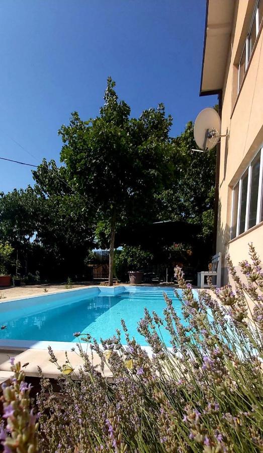 אימוטסקי Apartment Vrljika,With Private Pool,Bikes,Garage מראה חיצוני תמונה