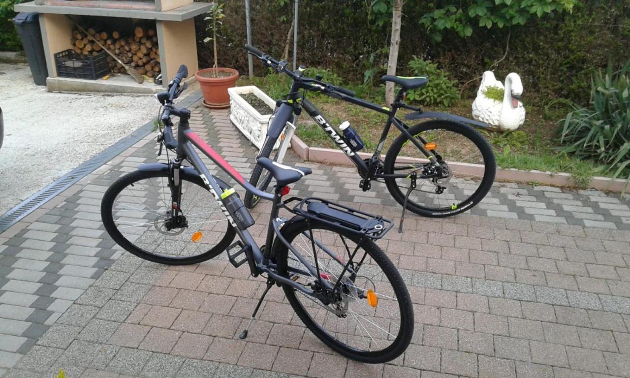 אימוטסקי Apartment Vrljika,With Private Pool,Bikes,Garage מראה חיצוני תמונה